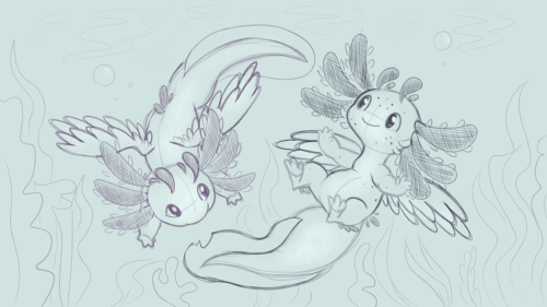  OCtober 17: Underwaterlotl dragon babies 