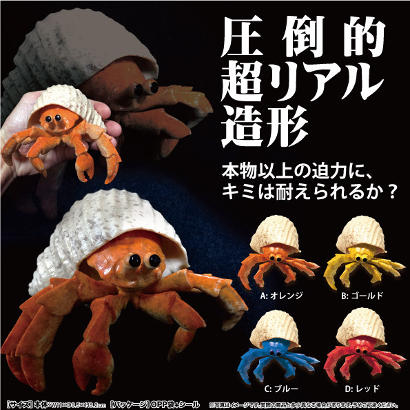 カブトガニ Explore Tumblr Posts And Blogs Tumgir カブトガニ Explore Tumblr Posts And Blogs Tumgir