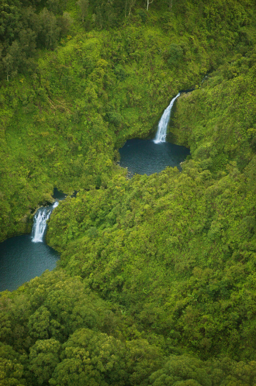 sixpenceee:Honokohau Falls in Hawaii  is said to be the tallest waterfall on Maui. It plunges in two