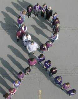 Human Purple Ribbon Helps Fight Domestic