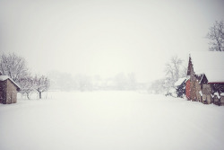 wintertiming:  Blizzardy by *December Sun on Flickr.