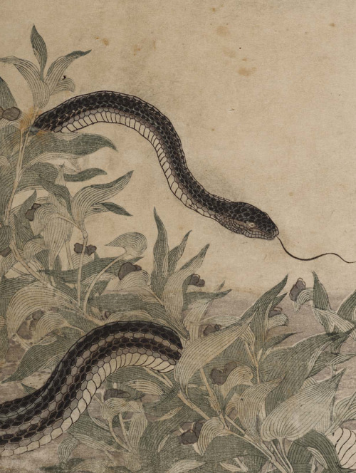 clawmarks:Utamaro Kitagawa - Ehon mushi erami - 1823 - via University of Wisconsin Digital Collections