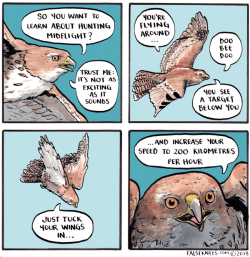 talons-mcbeak:  falseknees:It’s all trajectories