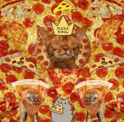 ode-to-pizza:  All the pizza. All the cats.