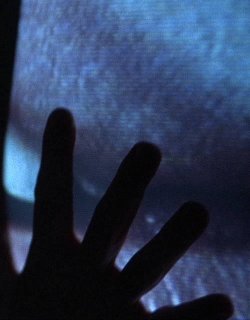 pierppasolini: Videodrome (1983) // dir. David Cronenberg