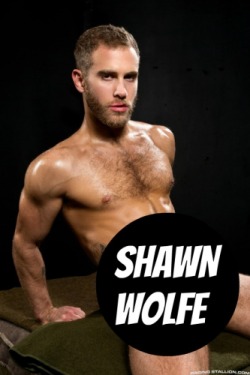 Shawn Wolfe At Ragingstallion - Click This Text To See The Nsfw Original.  More Men