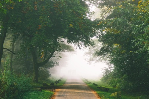 dpcphotography:  Around Longshaw Estate   www.danielcasson.com 