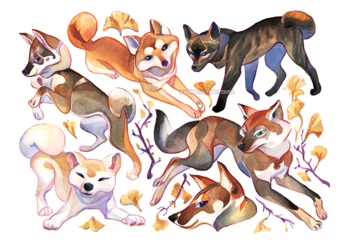mariposa-nocturna:  Deers, foxes, owls and japanese dogs done in watercolor. Next on the list are snow leopards, sheeps, sharks and otters X3Thank you so much for your support!! Do you have any favourite? Please let me know by commenting below with the