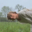 bettyrightnow:anxiety is so weird like why is my mental illness in my stomach 