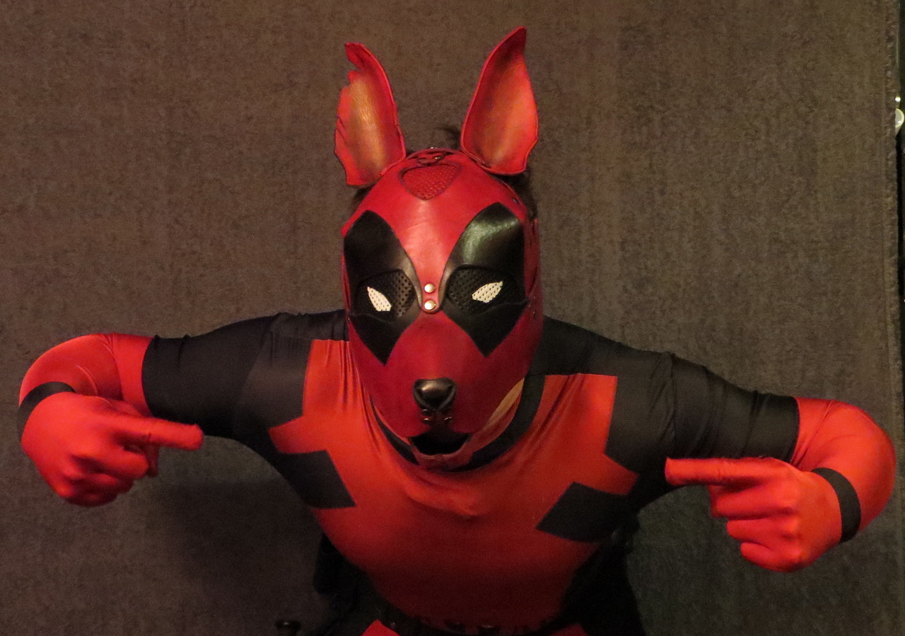 pup-demmy: Dogpool, whatcha gonna do about it?? &gt;.&gt; 