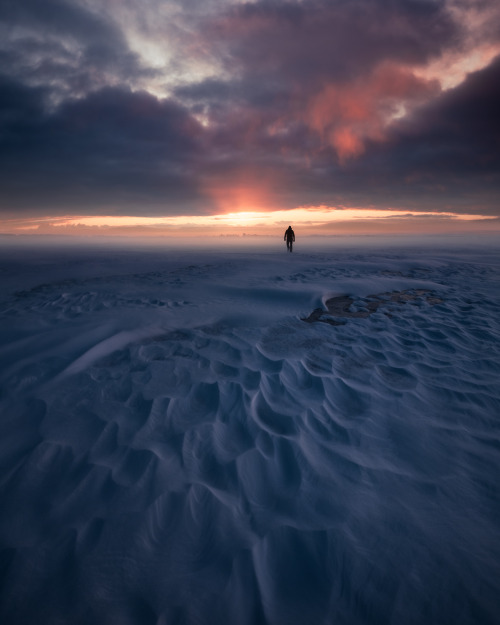 Mikko Lagerstedt