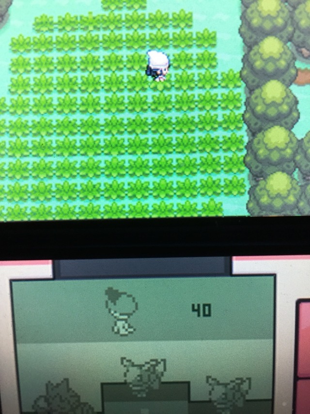 ポケトレ Tumblr Posts Tumbral Com ポケトレ Tumblr Posts Tumbral Com