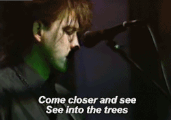 black-market-musick:  The cure: A forest,
