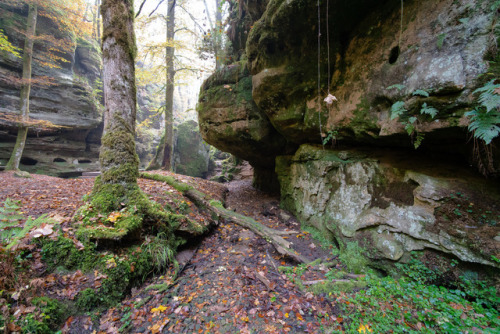 Devil’s Gorge by Martin Stelbrink