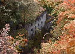 scavengedluxury:  Valley of the Mills. Sorrento, May 2012. 