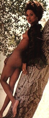 bigbennklingon:  Lola Falana 