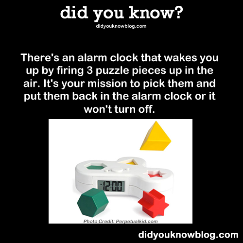 did-you-kno:  Source