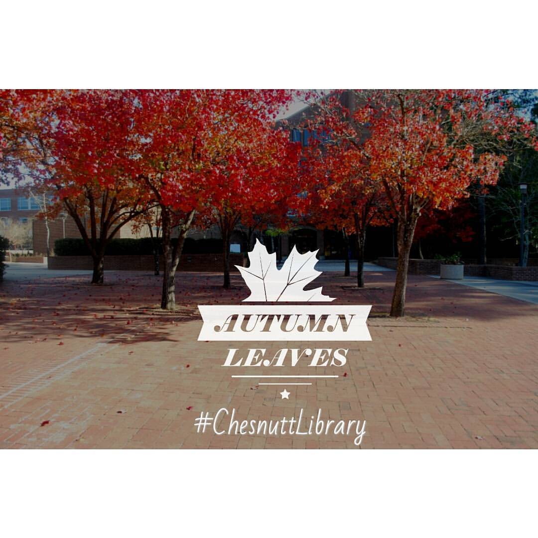 Hello, Fall! This photo is from 2013; the leaves are still green outside #ChesnuttLibrary…but, you get the idea. #firstdayoffall #firstdayofautumn #autumnalequinox #FayState #BroncoPride #FSUBroncos #fayettevillenc #librarylife #librariesofinstagram...