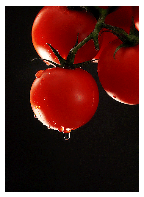 Tomatoes by daria khoroshavina