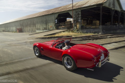 exitthedragon:  desertmotors:  ũ.7M 1966 Shelby 427 Cobra with less than 2,000 miles on the odometer.  damn…