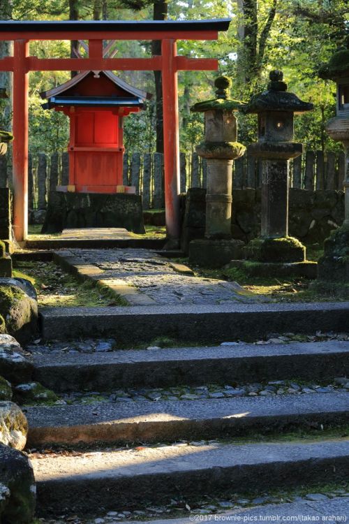 ‘21.10.30 春日大社、水谷茶屋付近、手向山八幡宮、二月堂にてChu-nens徘徊ツアー、続編ですｗ。春日さんから若草山の麓を通っていつもの手向山八幡宮へ。@moji-2 さんとあれ