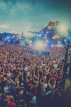 rave-republic:  Tomorrowland 2013 | StudioBrussel               