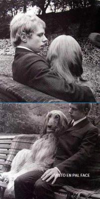 look-have-fun:  forever alone 