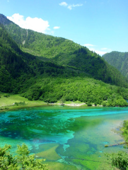 safesexgay:  4nimalparty:  Jiuzhaigou, Sichuan