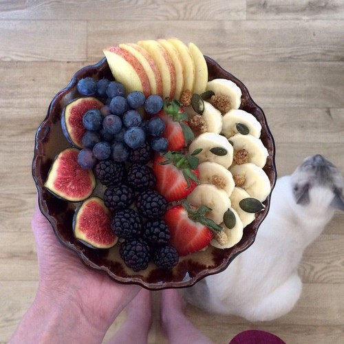 Sarahfitfoodie