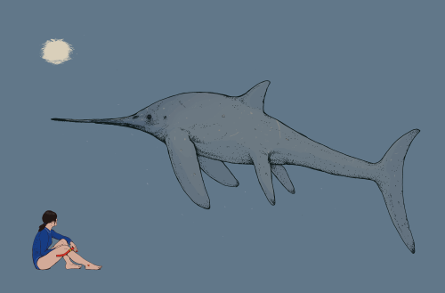 cmkosemenillustrated: The sword-beaked ichthyosaur Eurhinosaurus has been typecast as a slim, sleek 