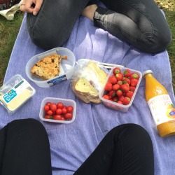 bumblekid:  picknick 😋 // ig: heijlken 