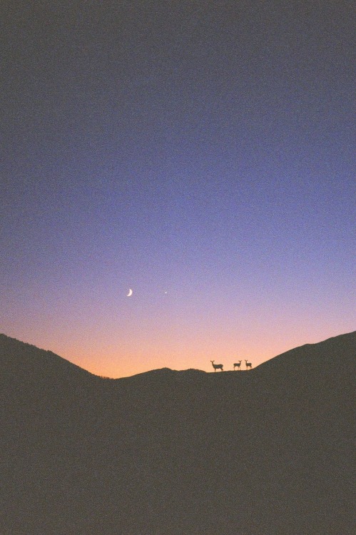 r2–d2:  Sun Valley by (buddу) 