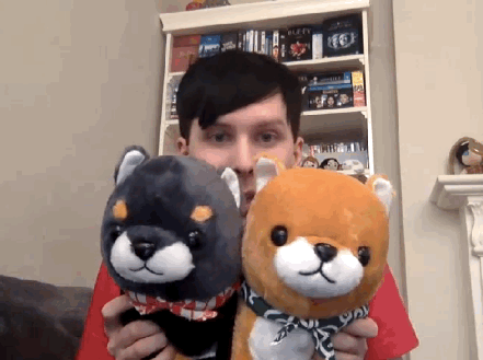 flying-panda-cat:Dogs given to Dan and Phil by a fan (black is Dan’s and brown is Phil’s)