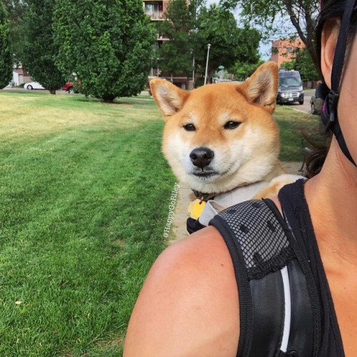 whyld-river: happygoriley: When you see your crush but you’re with your Mom. (at Denver, Colorado)  