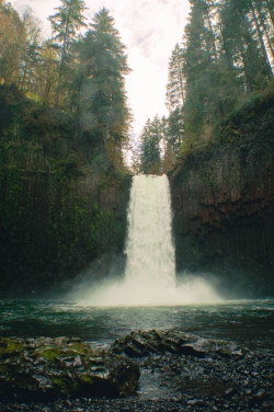 tidalwav-es:  charleyzheng:  Basalt columns  x