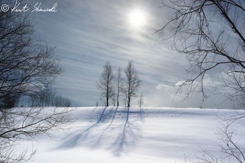 “The Family’s Trees”
Biei in Hokkaido,Japan.
You can see the footprints of a fox.
If you want to see this photo in high resolution, please look at the following site.
“500px-The Family’s Trees”
Please feel free to use this photo for your the...