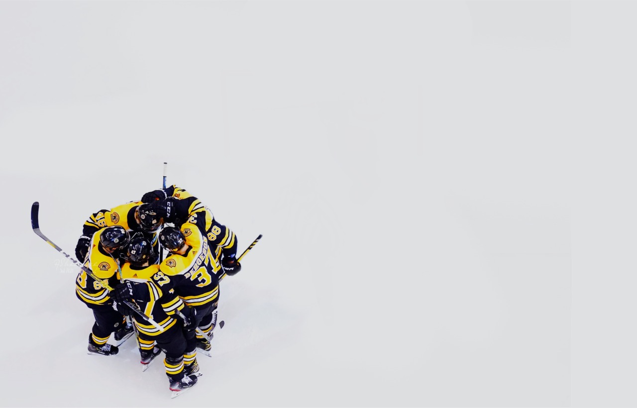 Where Hockey Meets Art — wallpapers • martin nečas + simple aesthetic