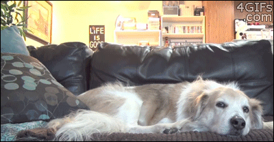 thethetwistedone: 0nigum0: I want someone to hold me. I’ve…never really had that.