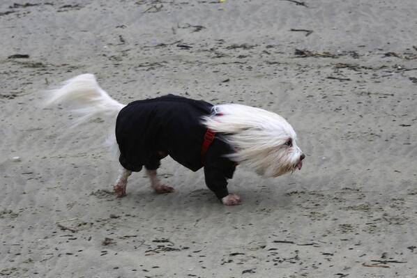 It’s still weather for winter wear