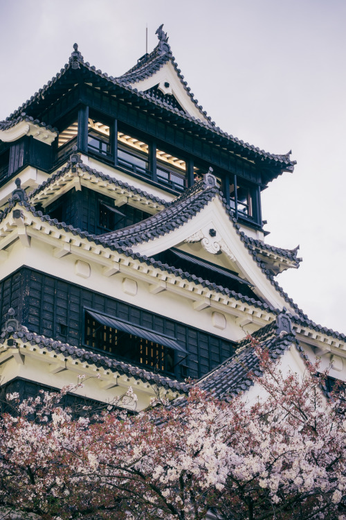 japan-overload:by  Victor Leung