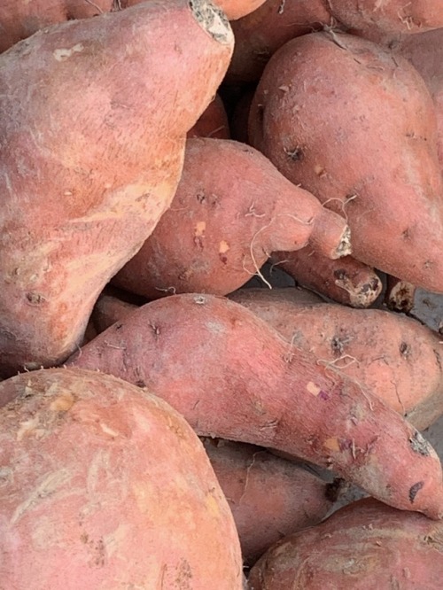 Sweet Potatoes, Oak Marr Farmes Market, Fairfax, 2019.