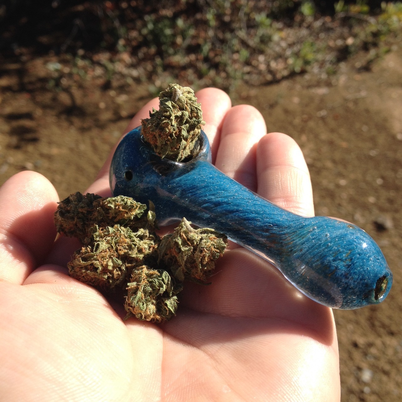 Thin Mint Cookies (Mixture of Cookies and Train Wreck)