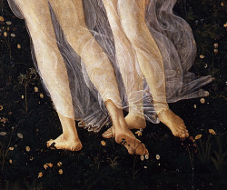 finethankyouandyou:   Primavera, ca. 1482 (detail) Sandro Botticelli Uffizi, Florence  