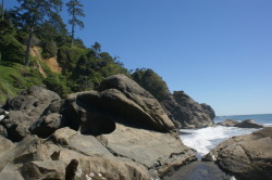 frommylimitedtravels:  The Olympic Coast at Kalaloch  It’s so gorgeous out there!😍