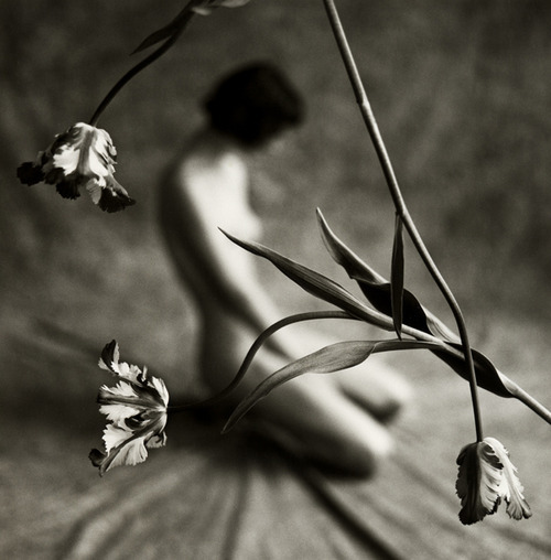cherban11:  Mark Arbeit 