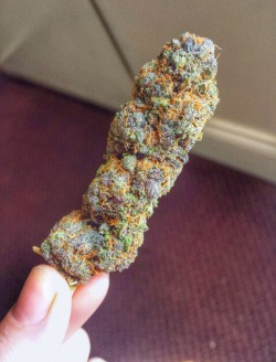 stonified:  Big nug 