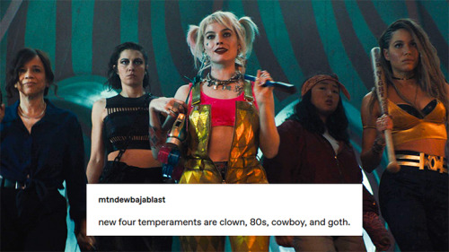 birds of prey + text posts 11/?