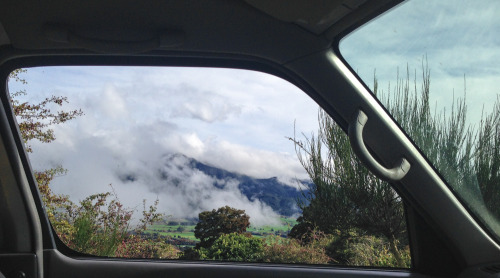 nevver: Never get out of the car, Vanscapes by Alison Turner