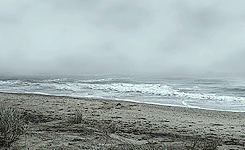 Vikings, landscapes.