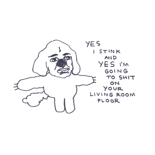 A dog with a hideous and serious face says, "yes I stink and yes I'm going to shit on your living room floor".